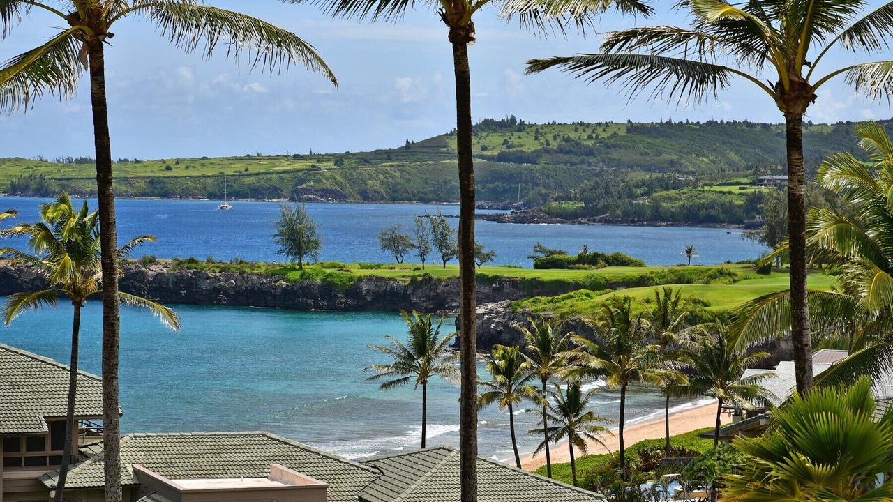 Photo of Others in Napili