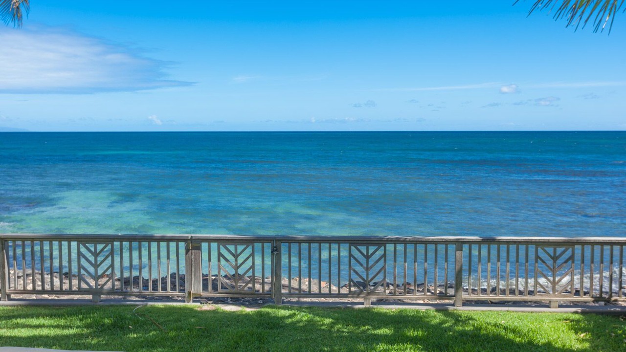 Photo of Others in Paia