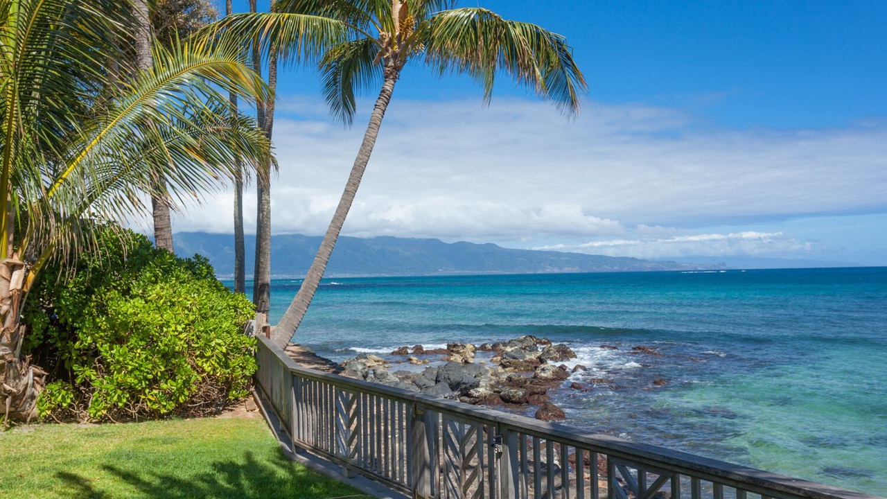 Photo of Others in Paia