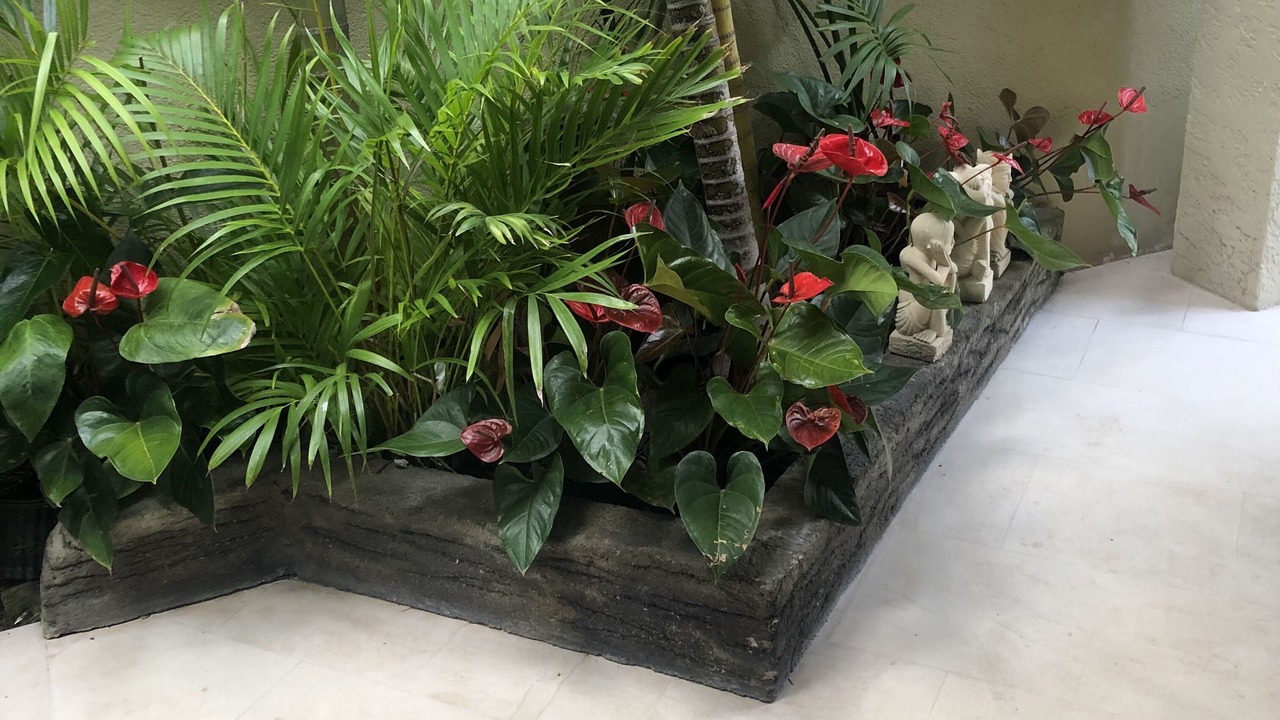 Photo of Outdoor in Diamond Head - Kapahulu - St. Louis