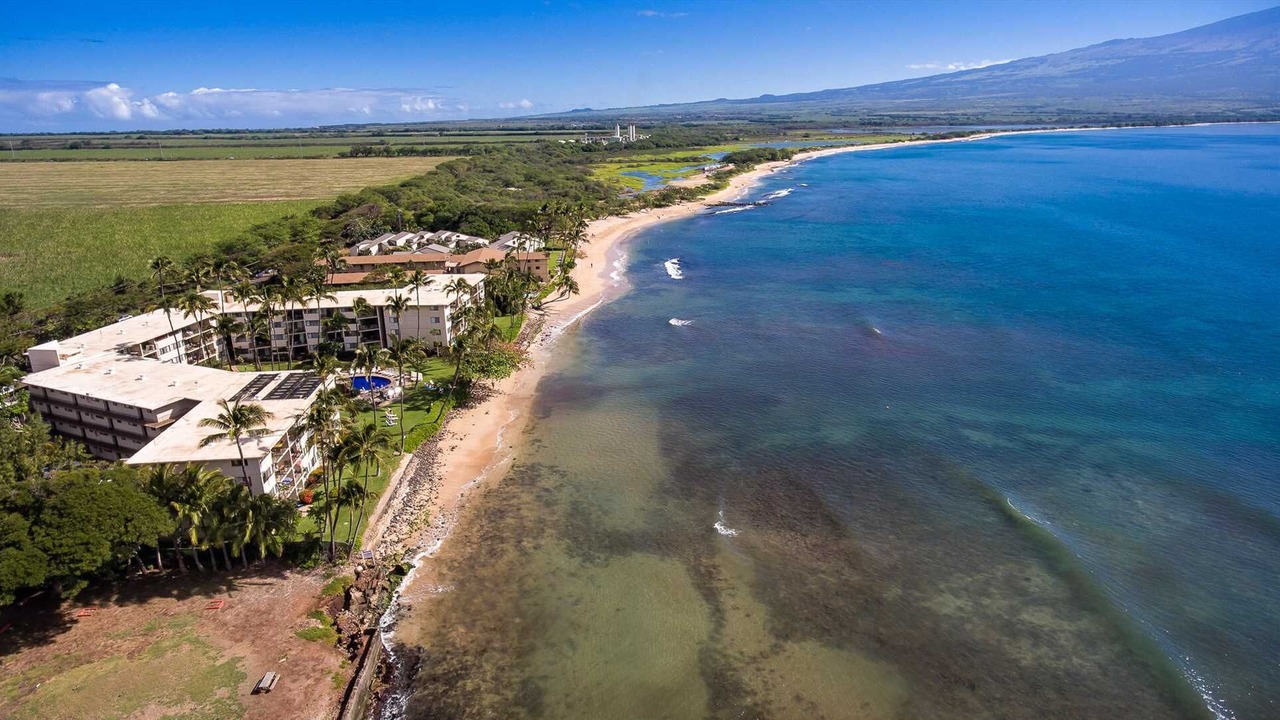Photo of Others in Maalaea