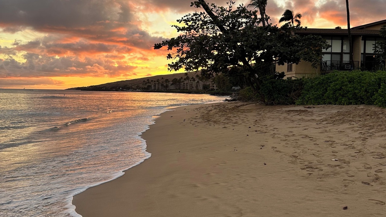 Photo of Others in Maalaea