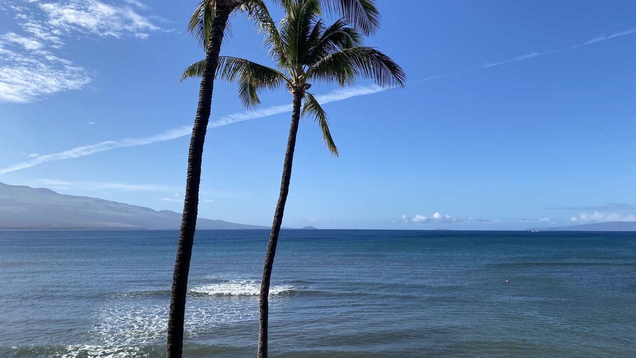 Photo of Others in Maalaea