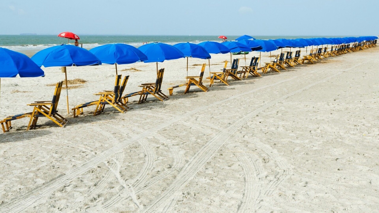 Photo of Others in Palmetto Dunes