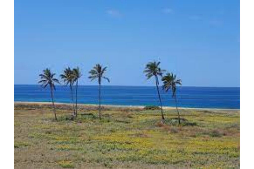 Photo of Others in Maunaloa