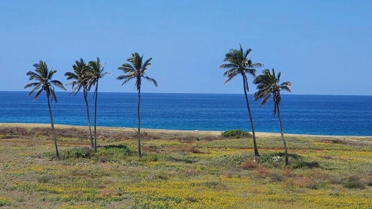 Photo of Others in Maunaloa