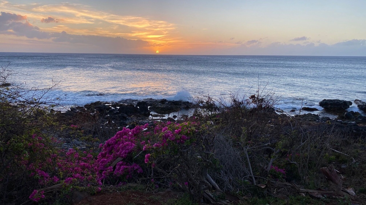Photo of Others in Maunaloa