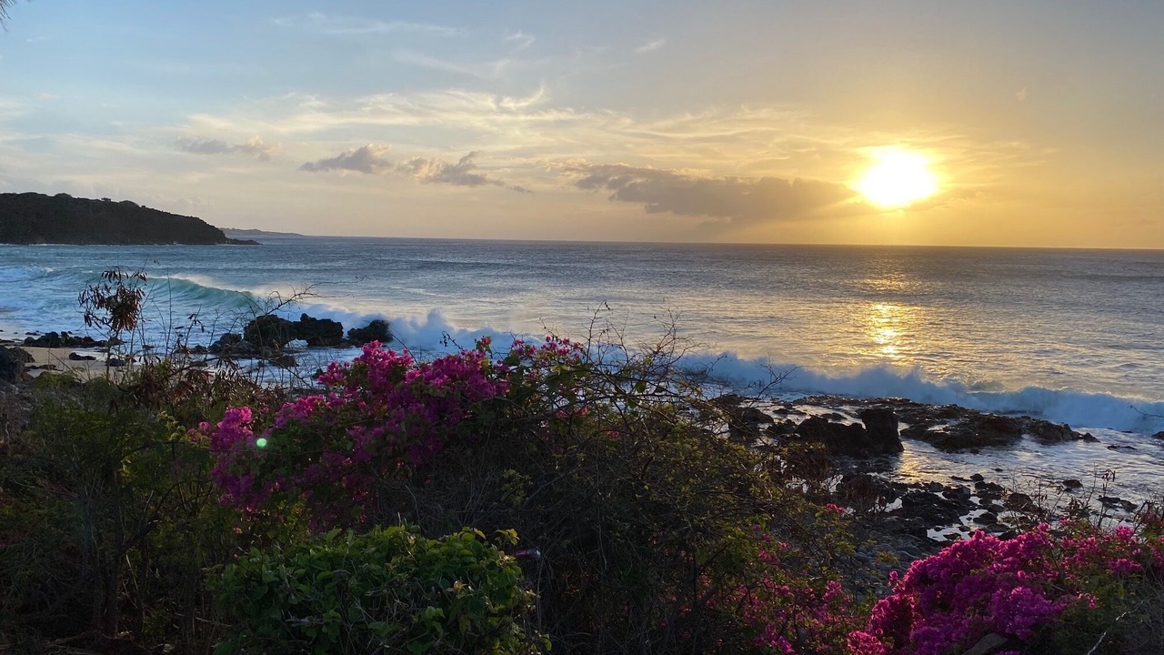 Photo of Others in Maunaloa