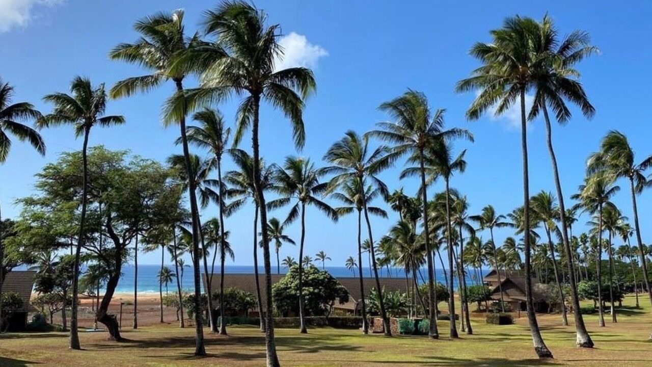 Photo of Outdoor in Maunaloa