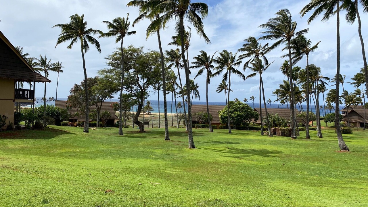 Photo of Outdoor in Maunaloa