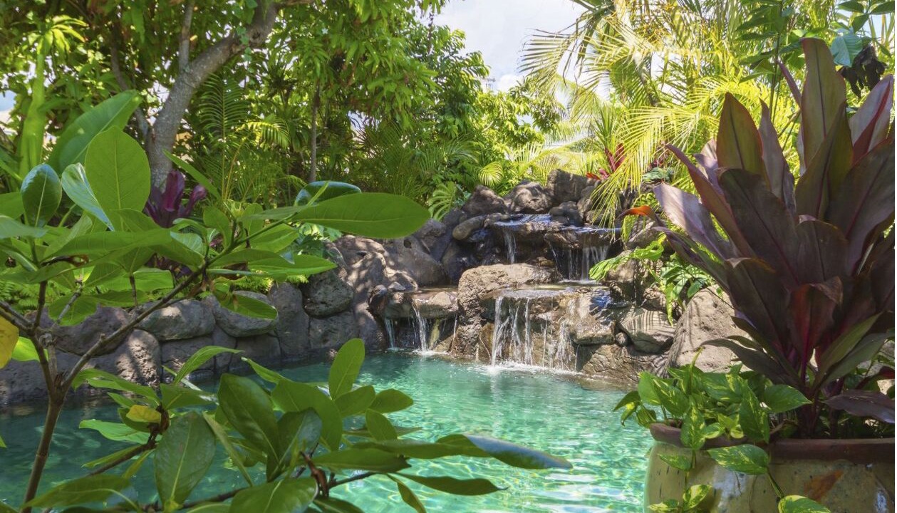 Photo of Outdoor in Waimanalo
