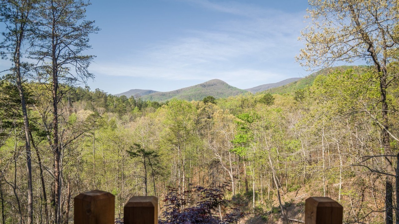 Photo of Others in Lake Lure
