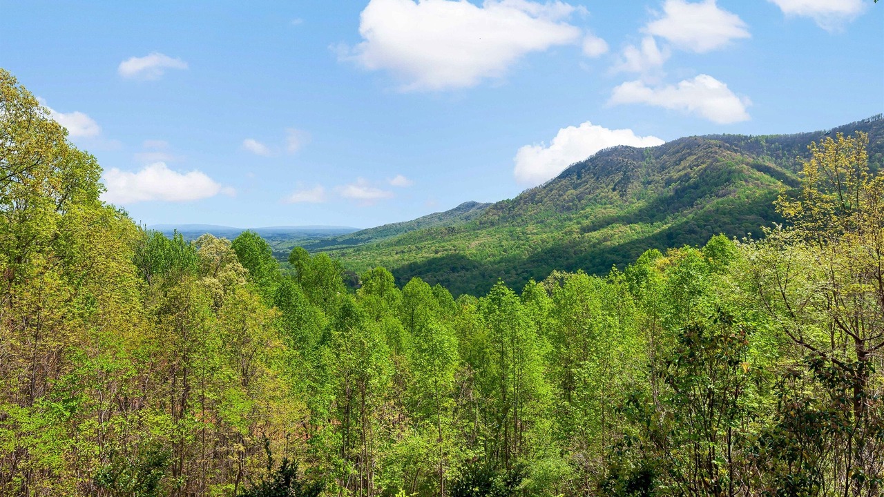 Photo of Others in Piney Mountain