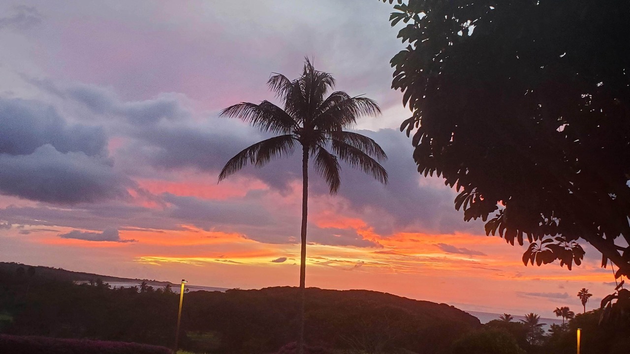 Photo of Others in Maunaloa