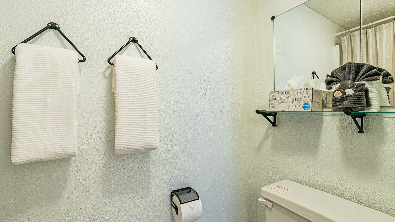 Photo of Bathroom in Hilo