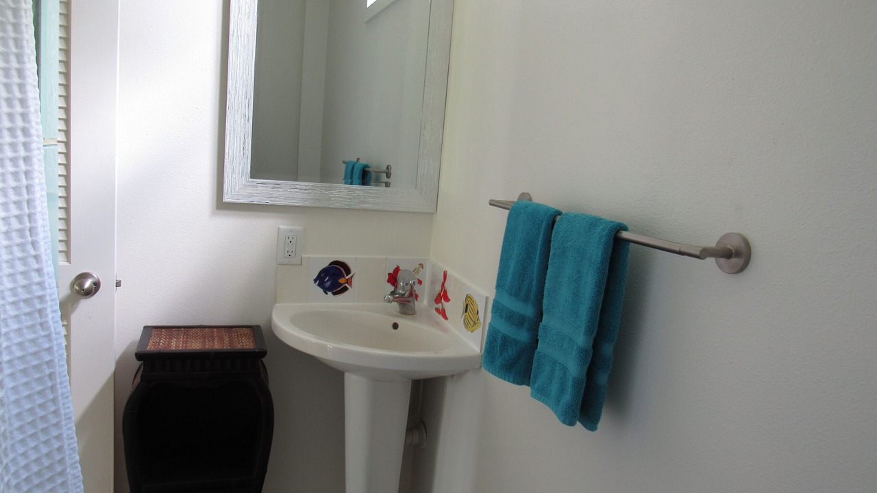Photo of Bathroom in Pauwela