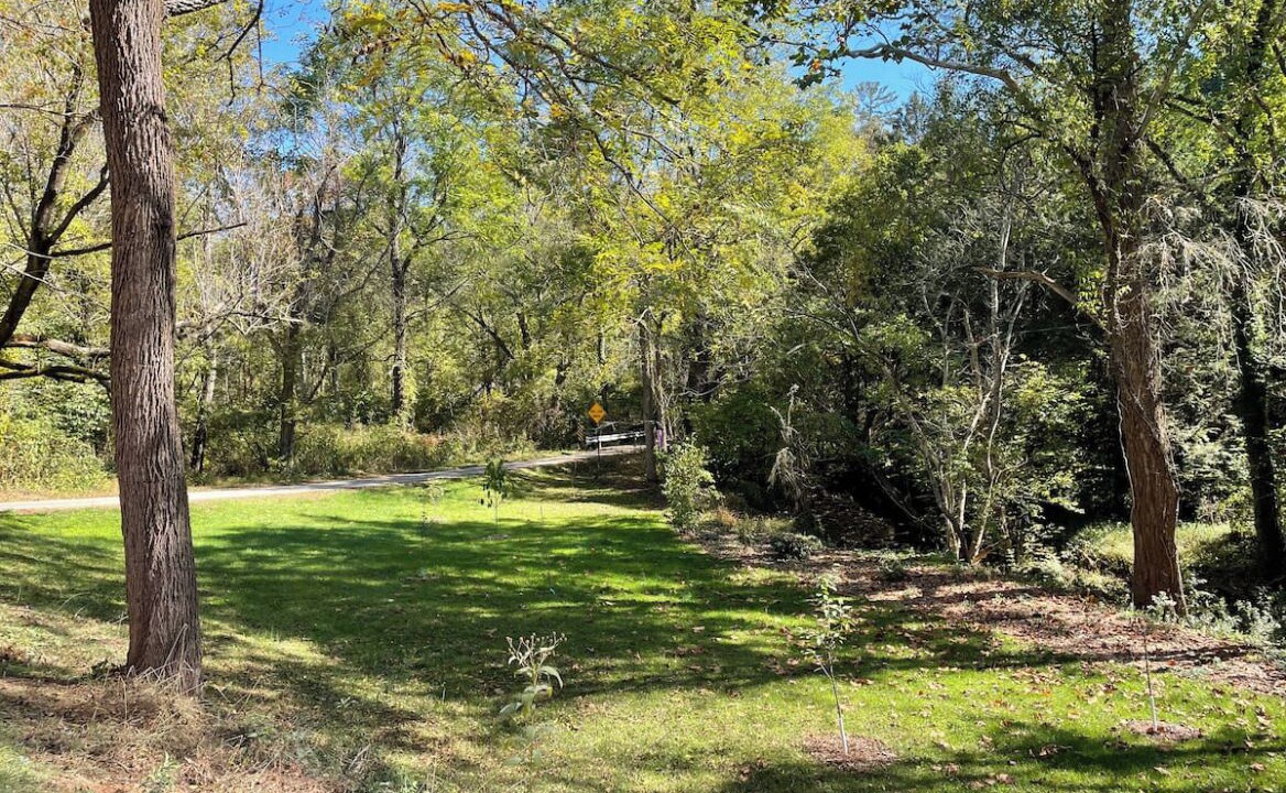 Photo of Outdoor in Haw Creek