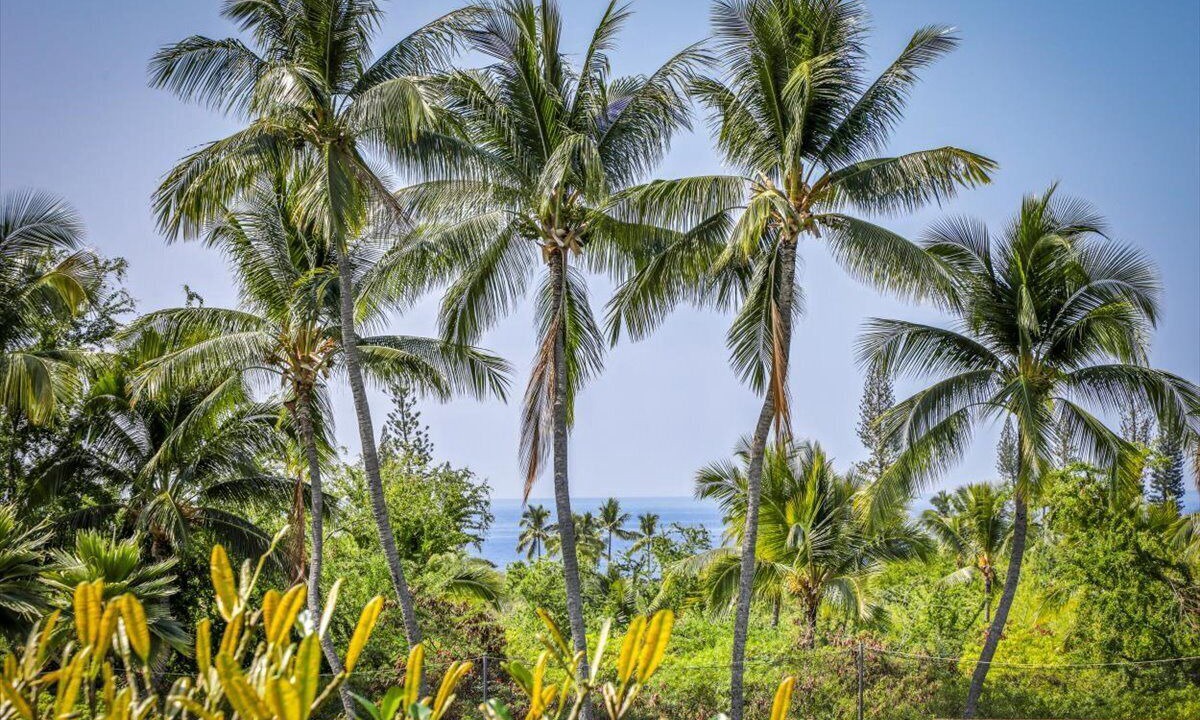 Photo of Others in Keauhou