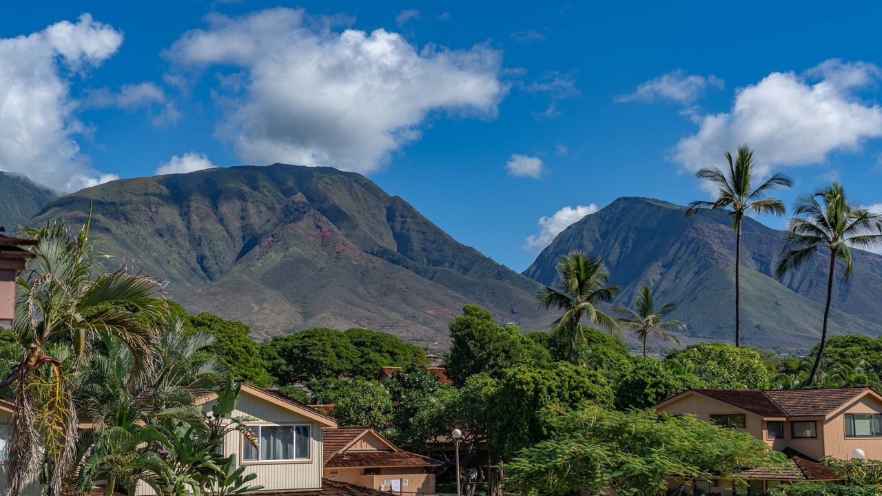 Photo of Outdoor in Downtown Lahaina