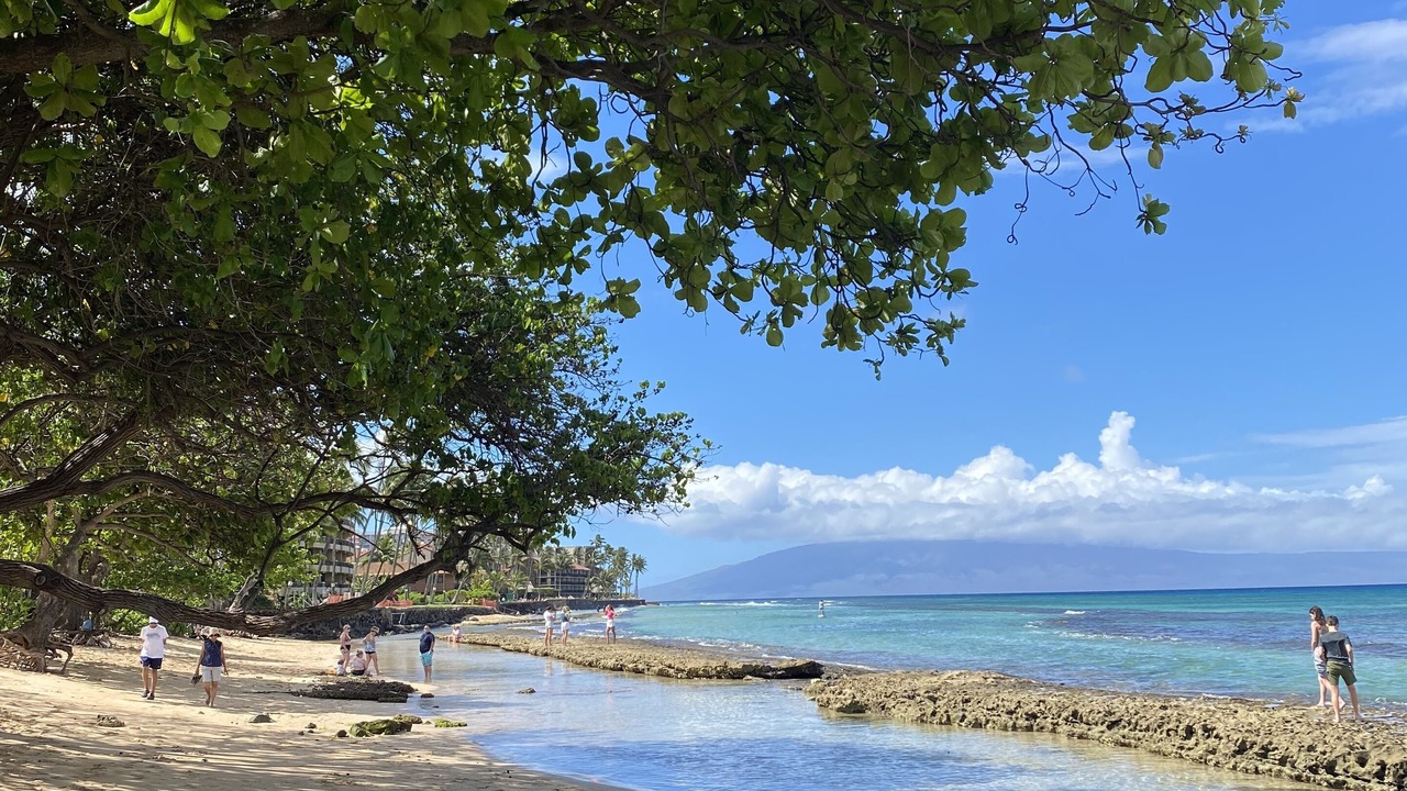 Photo of Others in Honokowai