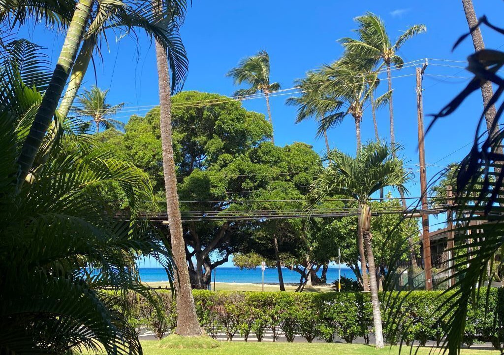 Photo of Others in Honokowai