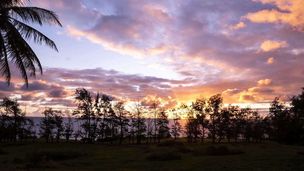 Photo of Outdoor in Hana