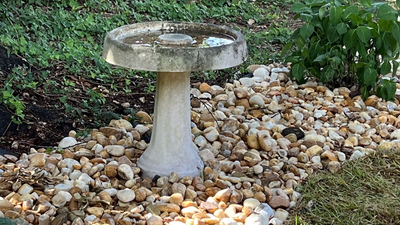 Photo of Outdoor in Warner Robins
