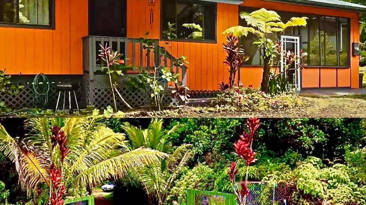Photo of Outdoor in Leilani Estates