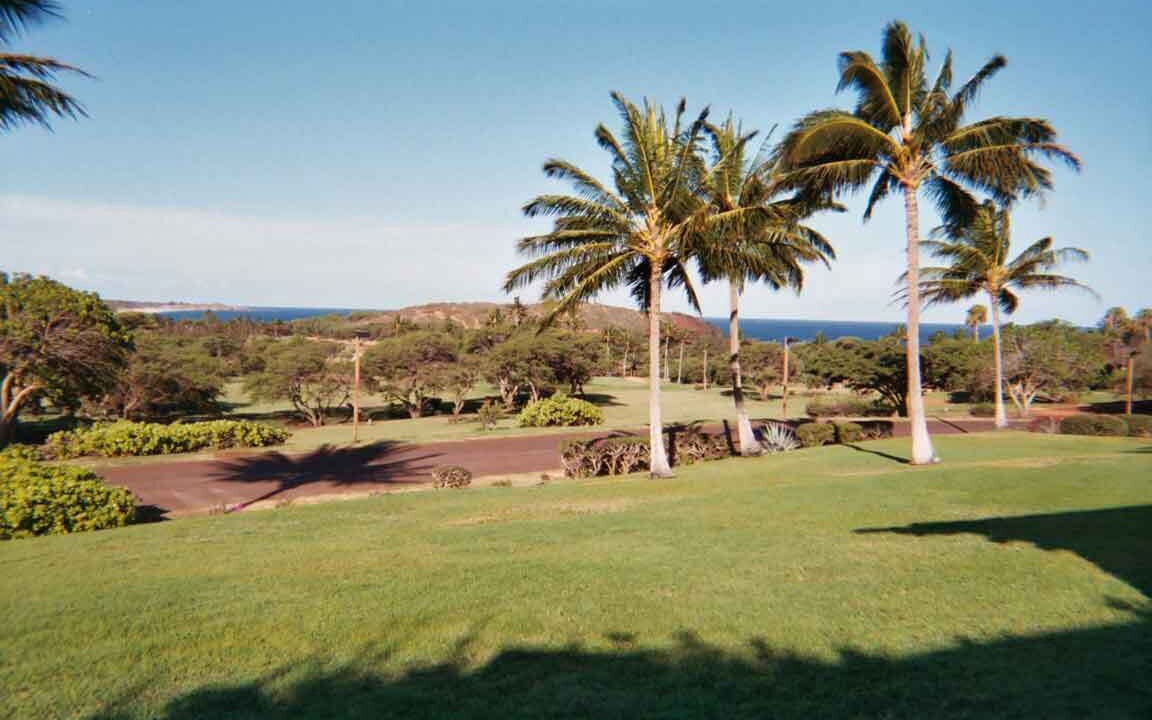 Photo of Others in Maunaloa