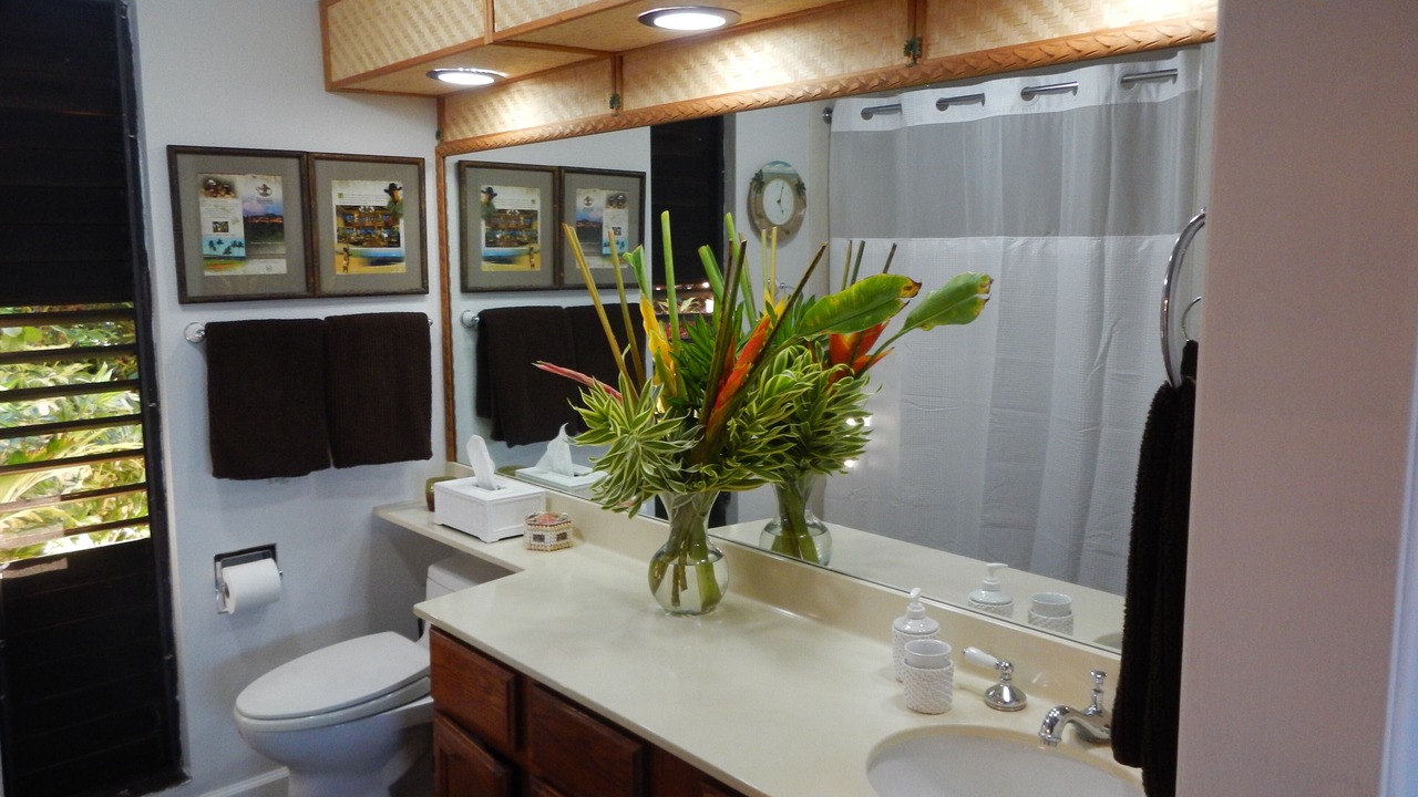 Photo of Bathroom in Maunaloa