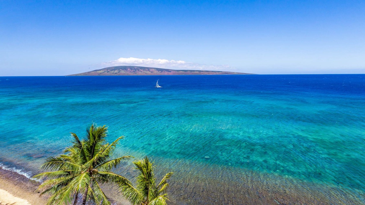 Photo of Others in Honokowai