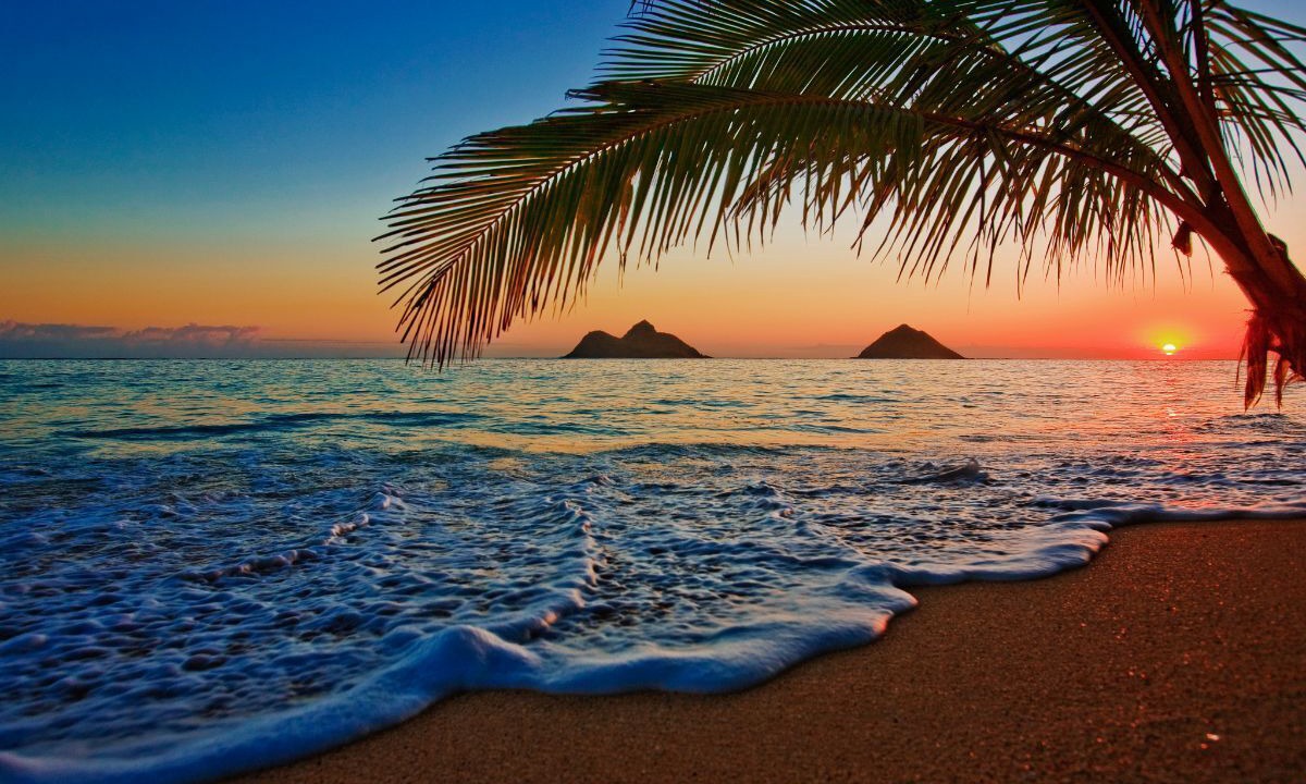 Photo of Others in Ko Olina