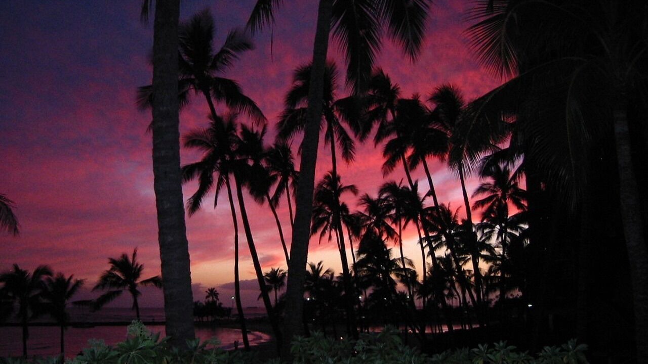 Photo of Outdoor in Ko Olina