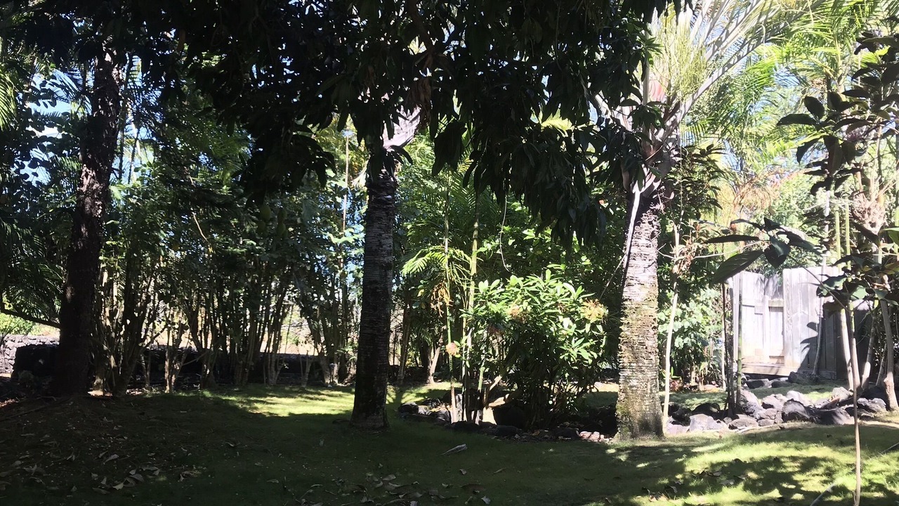 Photo of Others in Honaunau-Napoopoo