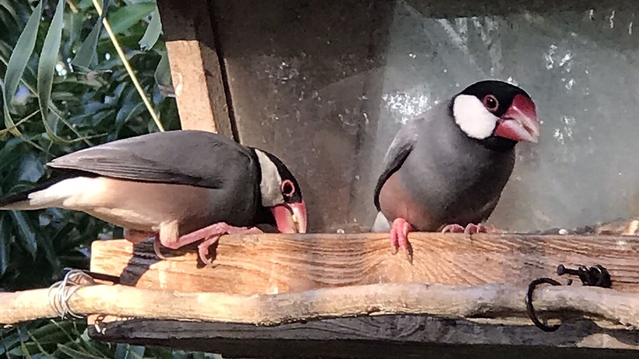 Photo of Others in Honaunau-Napoopoo