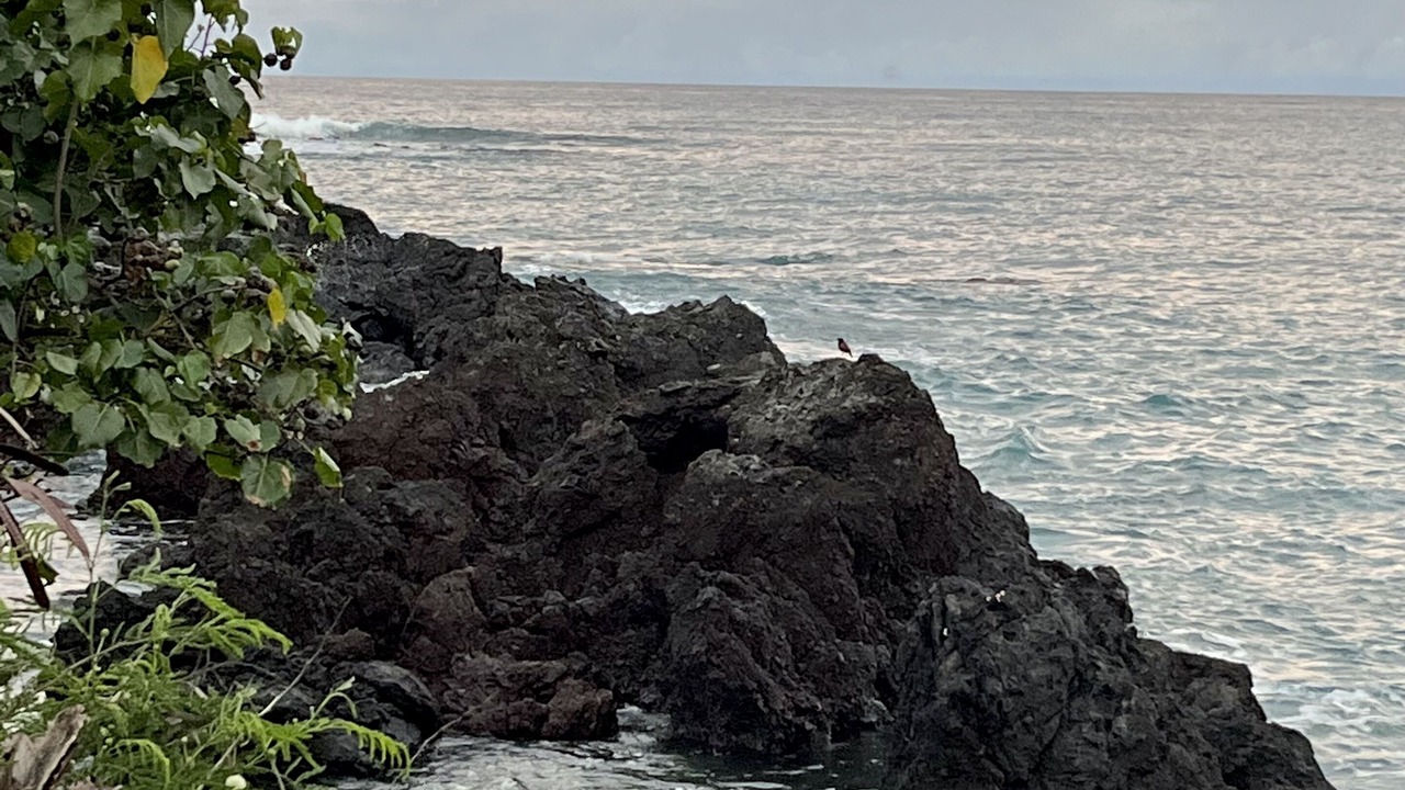 Photo of Others in Honaunau-Napoopoo
