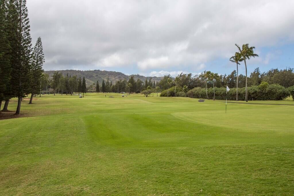 Photo of Others in Kahuku