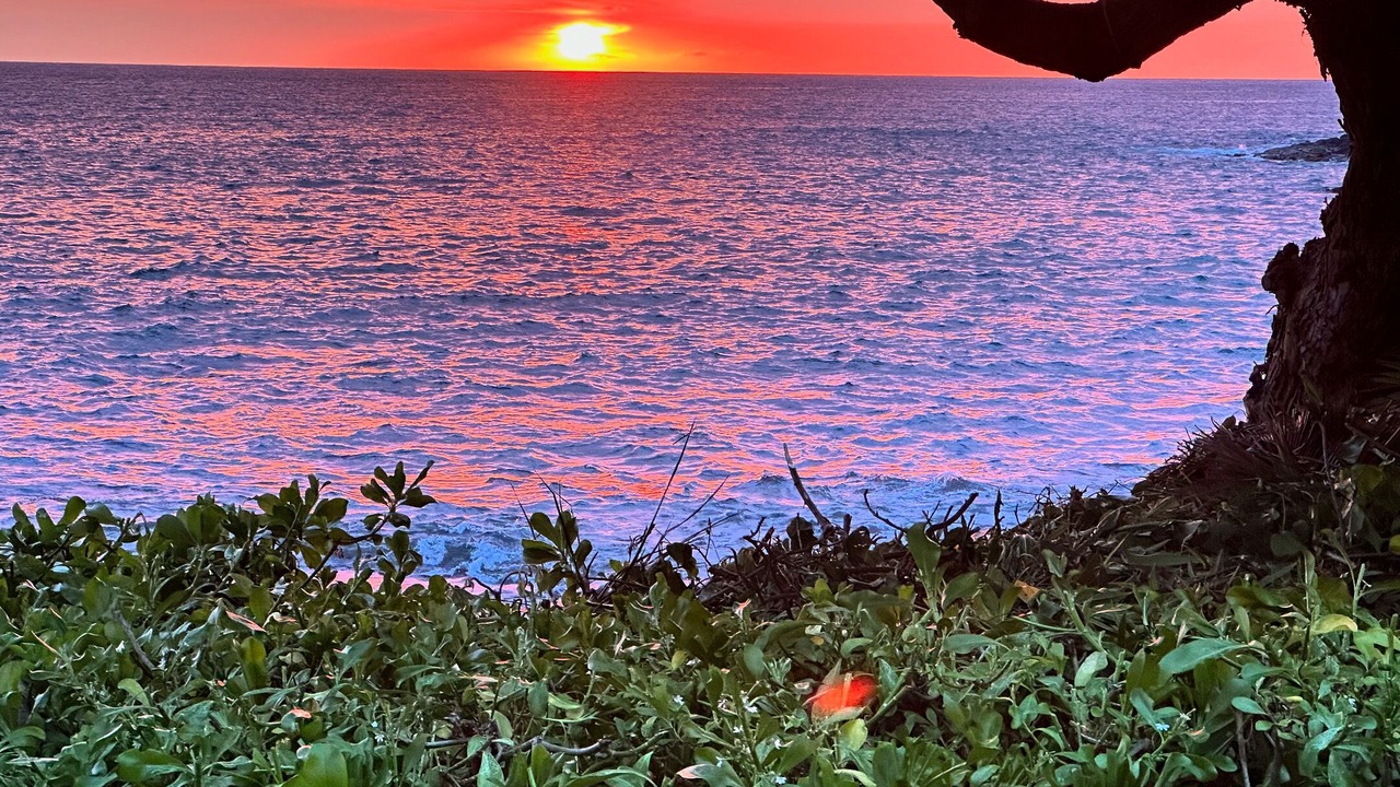 Photo of Others in Kailua-Kona