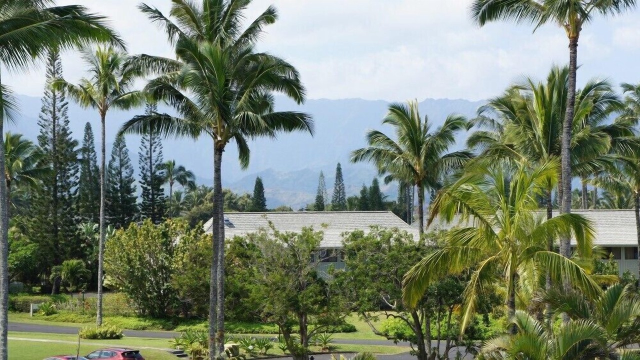 Photo of Outdoor in Princeville