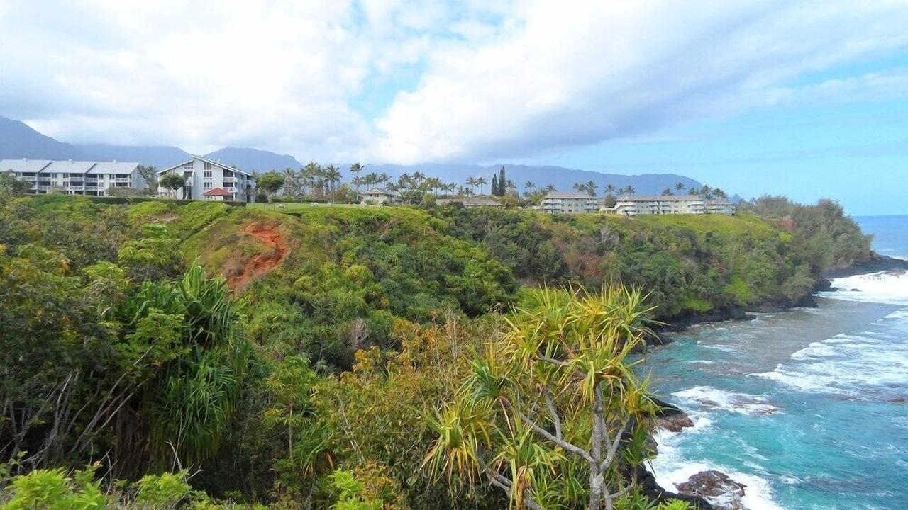 Photo of Others in Princeville