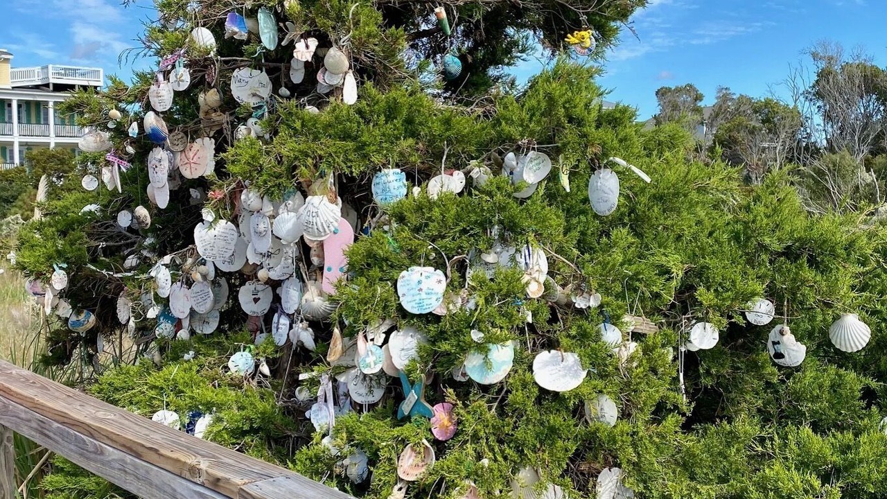 Photo of Others in Sunset Beach