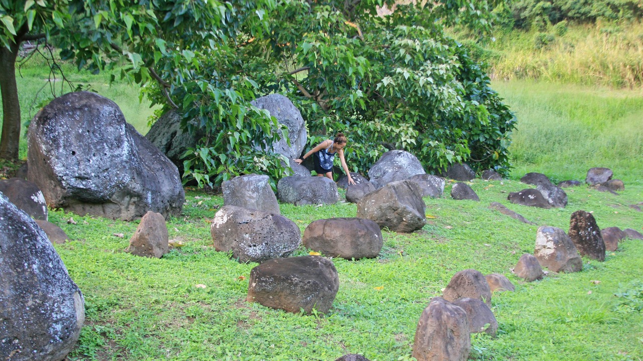 Photo of Outdoor in Kapaau