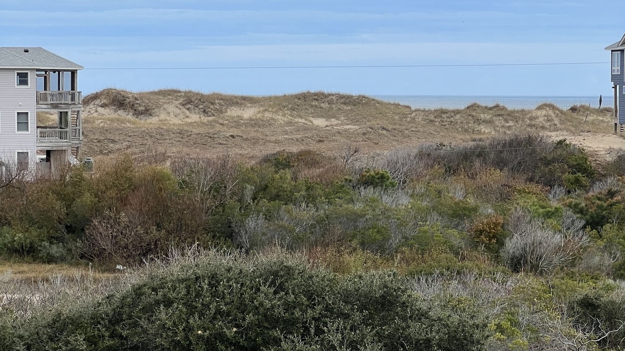 Photo of Others in Carova Beach