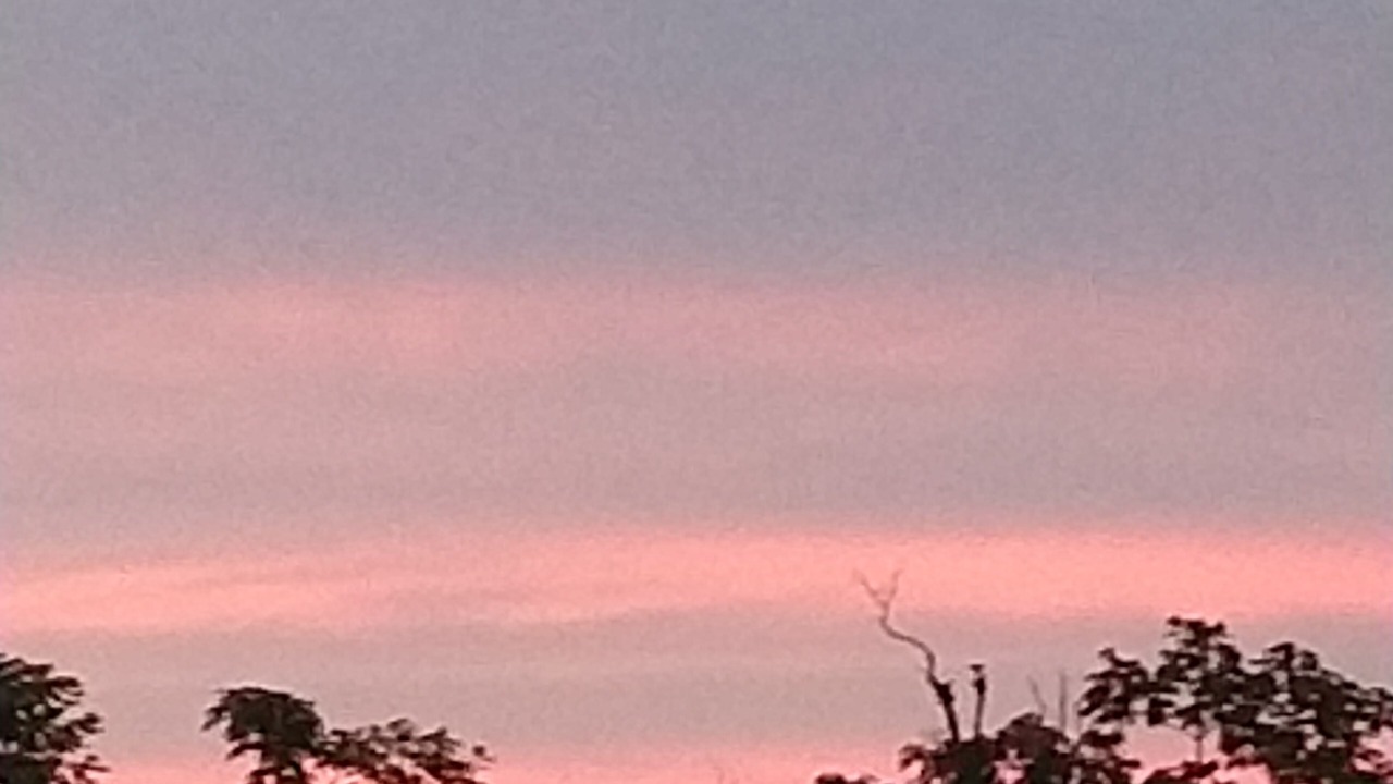 Photo of Outdoor in Leilani Estates