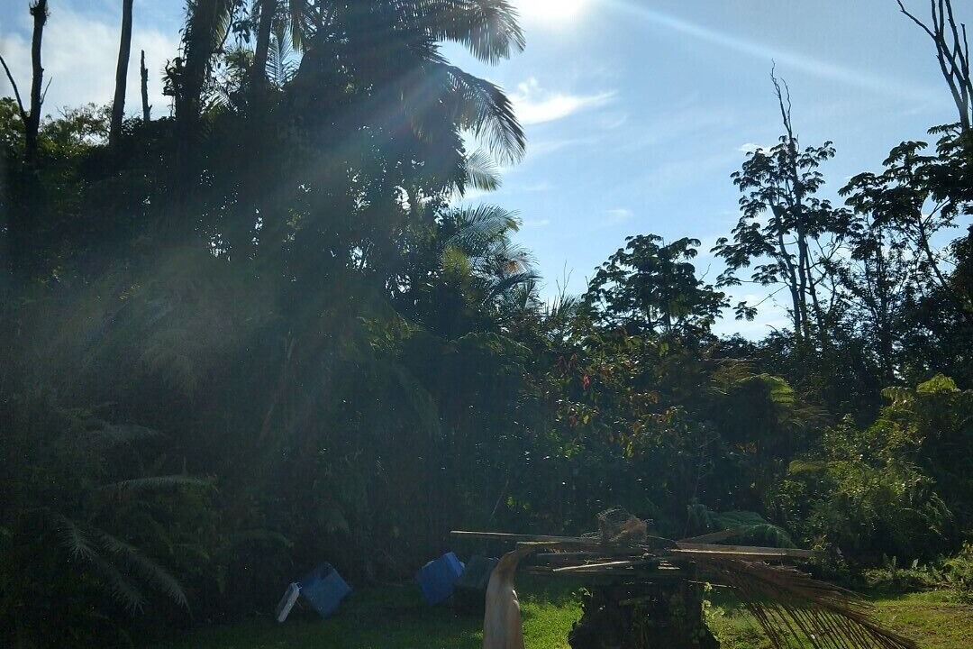 Photo of Others in Leilani Estates