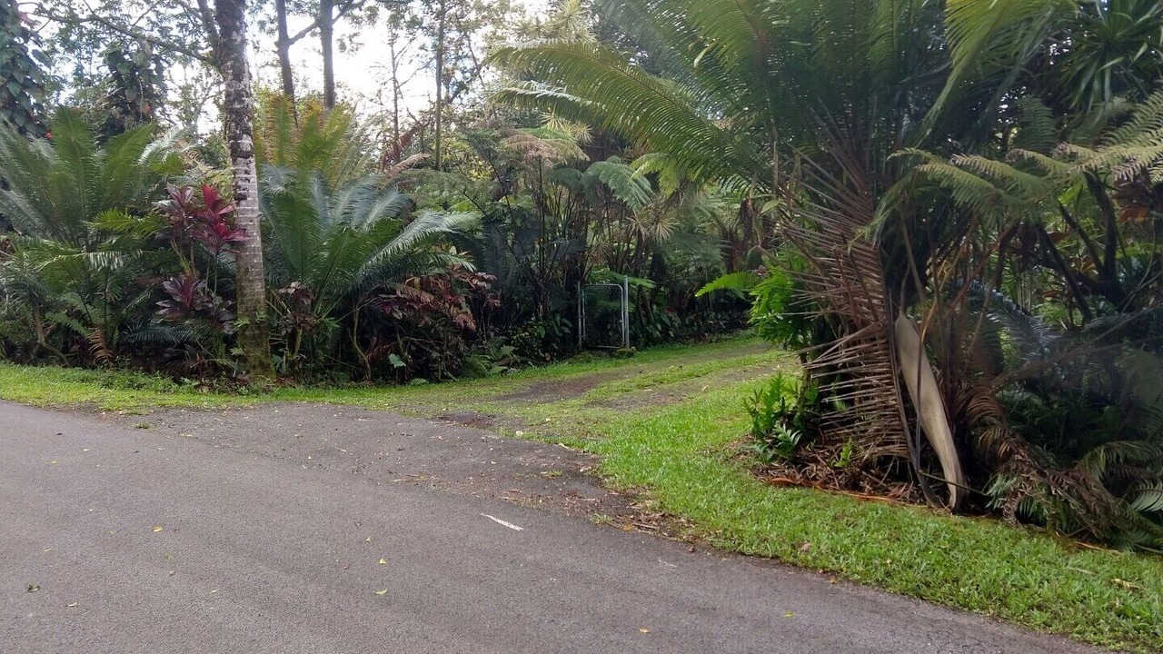 Photo of Others in Leilani Estates