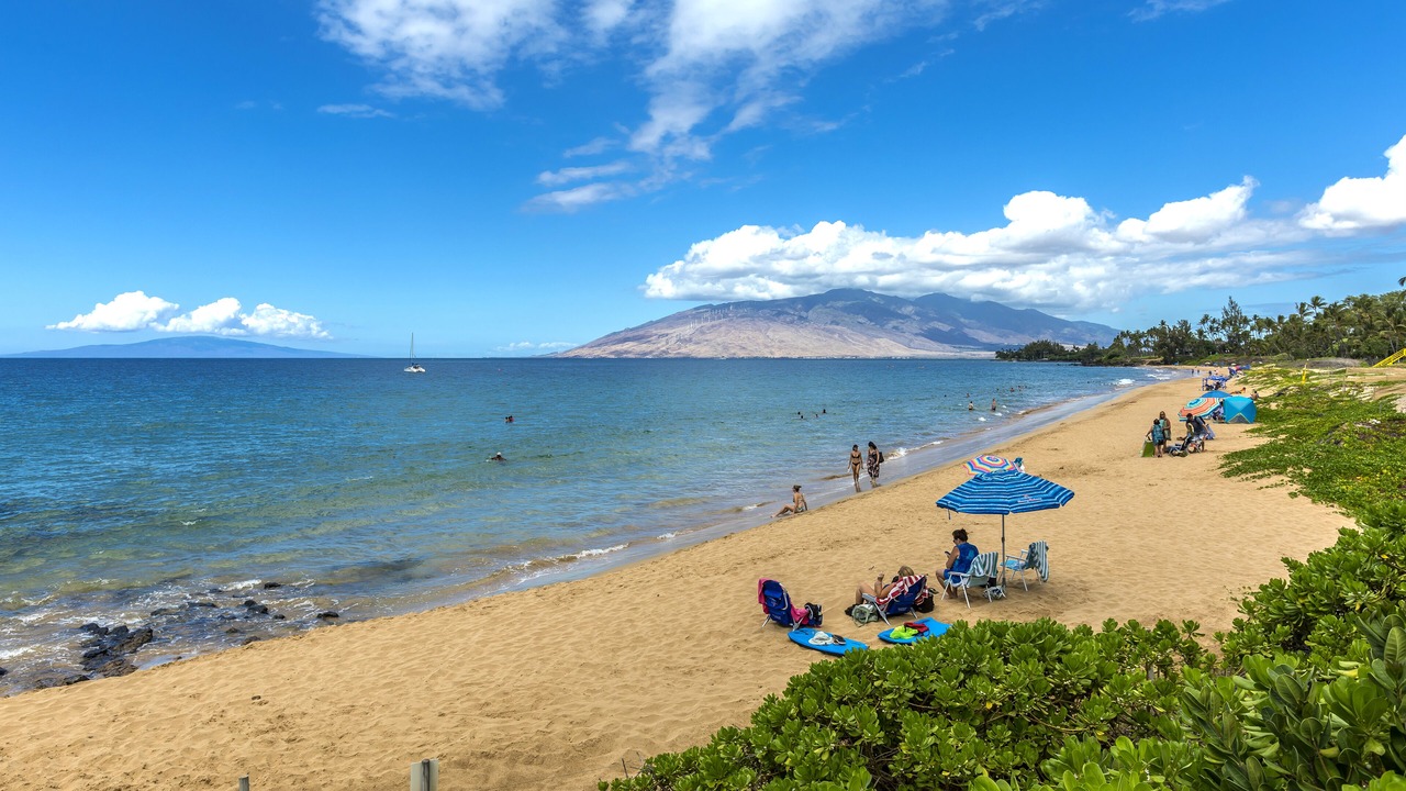Photo of Others in Kihei