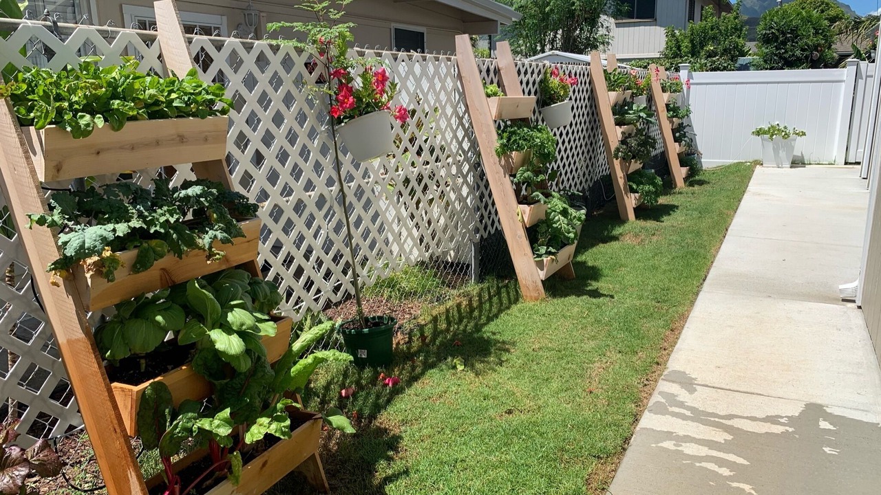 Photo of Outdoor in Coconut Grove
