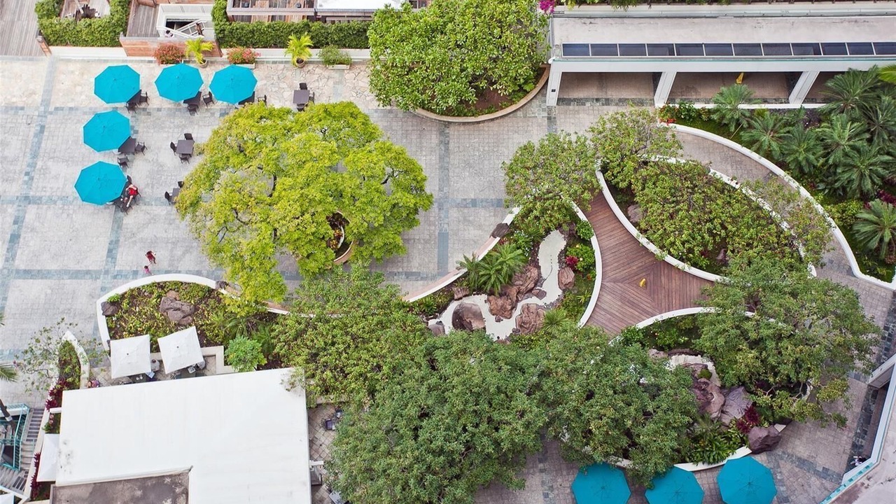 Photo of Outdoor in Waikiki