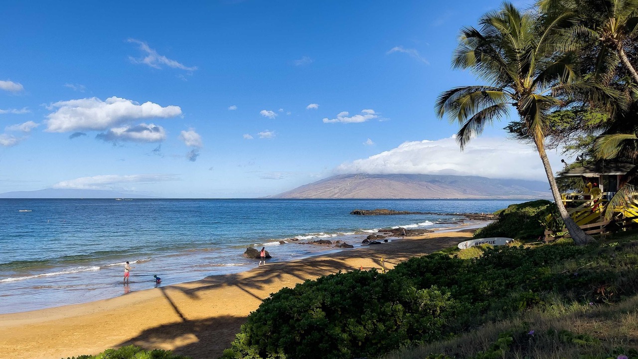Photo of Others in Kihei